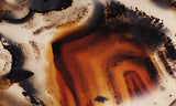 Montana Agate Rock Slab 252