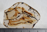 Montana Agate Rock Slab 343