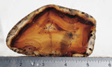 Montana Agate Rock Slab 356