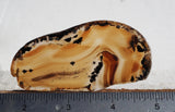 Montana Agate Rock Slab 337