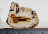 Montana Agate Rock Slab 353