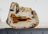 Montana Agate Rock Slab 353