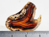 Montana Agate Rock Slab 307