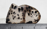 Montana Agate Rock Slab 341