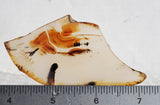Montana Agate Rock Slab 303