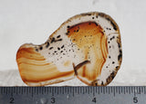 Montana Agate Rock Slab 347