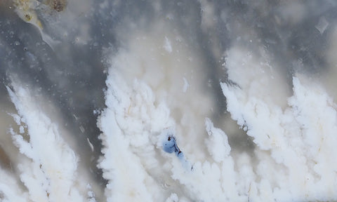 Stinking Water Plume Slab 268