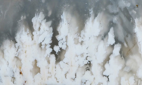 Stinking Water Plume Slab 262