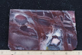 Exotica Jasper Rock slab 17