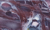 Exotica Jasper Rock slab 17