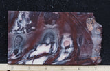 Exotica Jasper Slab 77