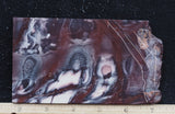 Exotica Jasper Slab 77