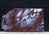 Exotica Jasper Rock slab 11
