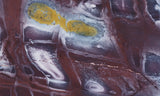 Exotica Jasper Rock slab 19