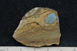 Owyhee Jasper Rock Slab 412