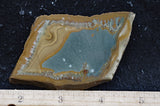 Owyhee Jasper Rock Slab 342