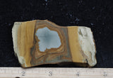 Owyhee Jasper Rock Slab 327