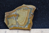 Owyhee Jasper Rock Slab 341