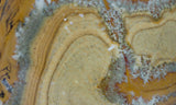 Owyhee Jasper Rock Slab 341