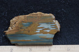 Owyhee Jasper Rock Slab 350