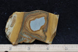 Owyhee Jasper Rock Slab 326