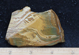 Owyhee Jasper Rock Slab 347