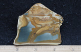 Owyhee Jasper Rock Slab 406
