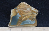 Owyhee Jasper Rock Slab 406