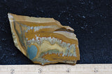 Owyhee Jasper Rock Slab 343