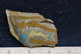 Owyhee Jasper Rock Slab 343
