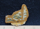 Owyhee Jasper Rock Slab 379