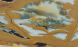 Owyhee Jasper Rock Slab 379