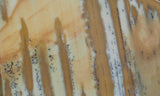 Owyhee Jasper Rock Slab 403