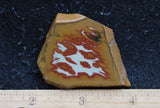 Owyhee Jasper Rock Slab 405