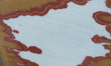 Owyhee Jasper Rock Slab 408