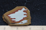 Owyhee Jasper Rock Slab 408