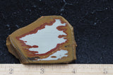 Owyhee Jasper Rock Slab 408