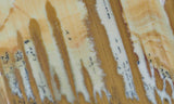 Owyhee Jasper Rock Slab 369