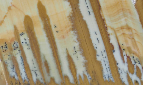 Owyhee Jasper Rock Slab 369
