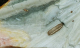 Larsonite Rock Slab 84