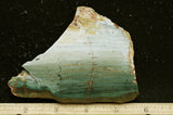 Larsonite Rock Slab 99