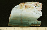 Larsonite Rock Slab 80