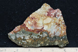 Rocky Butte Picture Jasper Rock Slab 55