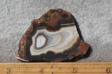 Botswana Agate Slab 57