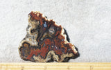 Reyes agate Rock slab 62