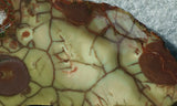 Spiderweb Jasper Slab 79