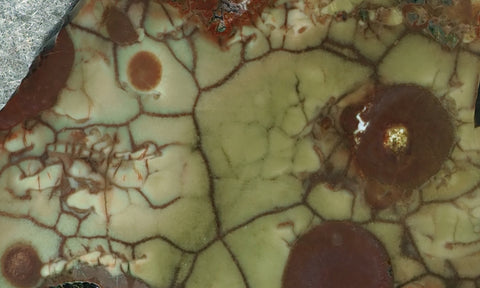 Spiderweb Jasper Slab 79