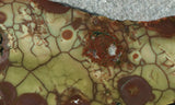 Spiderweb Jasper Slab 79
