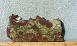 Spiderweb Jasper Slab 80