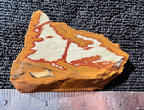 Owyhee Jasper Slab 0305